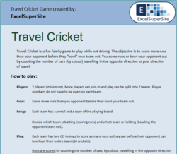 Travel Cricket Instructions